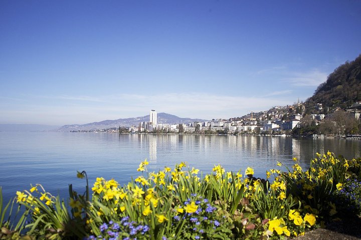 From Freddie Mercury to Jazz Legends: The Montreux Experience