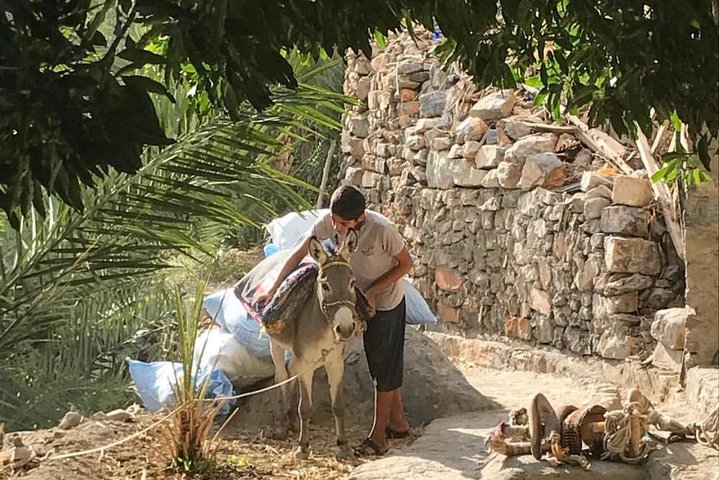 THE DONKEY TRAIL, Muscat- Al Jabal Al Akhdar