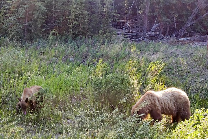 Day-Trip To Skagway - Gateway to the Klondike Goldrush