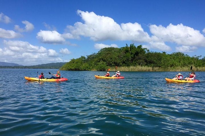 Kayak -Bird Watching Combo Tour from Puerto Quetzal