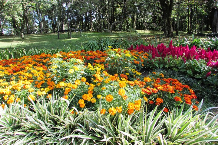 German Origins – Nova Petrópolis Tour