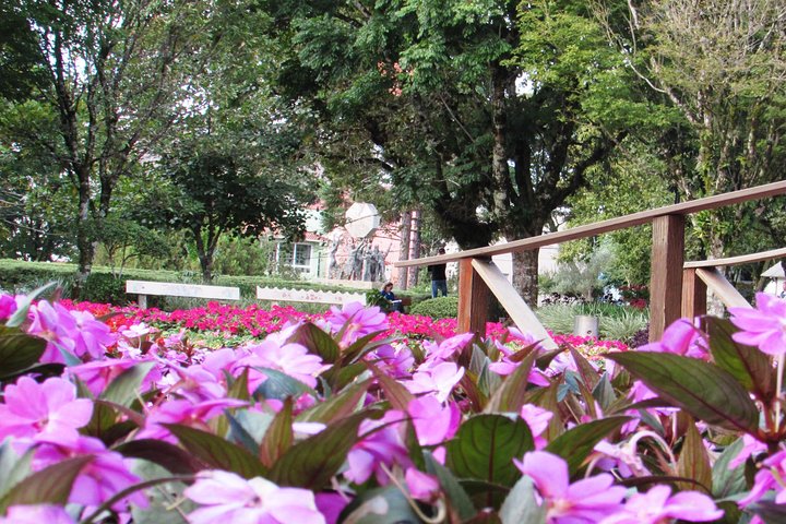 German Origins – Nova Petrópolis Tour