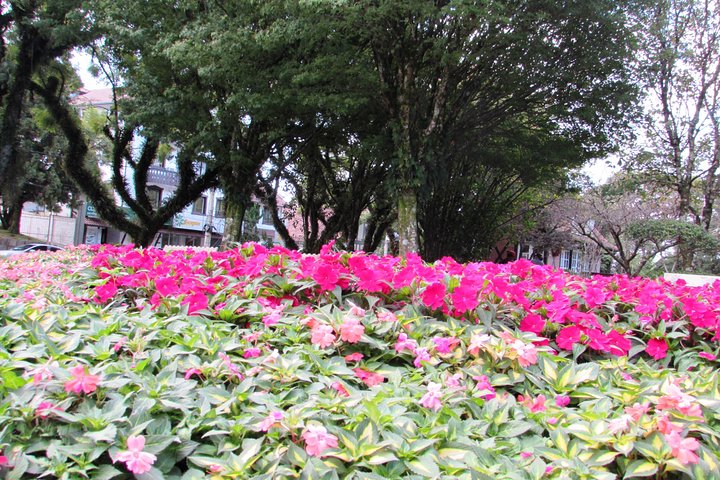 German Origins – Nova Petrópolis Tour