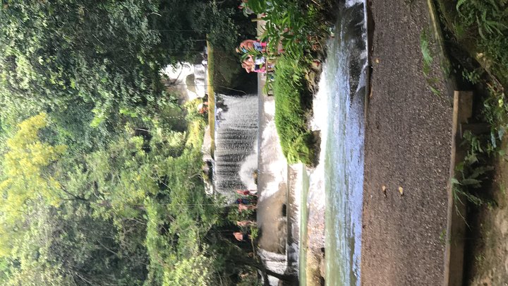 YS Falls Private Full-Day Adventure Tour with Pickup