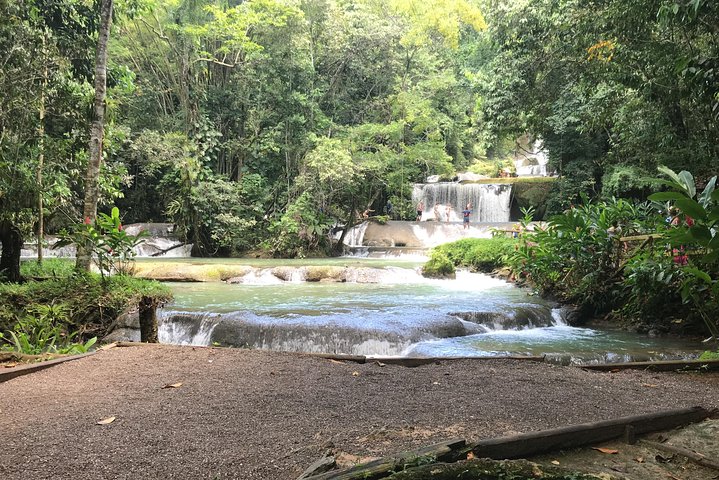 YS Falls Private Full-Day Adventure Tour with Pickup