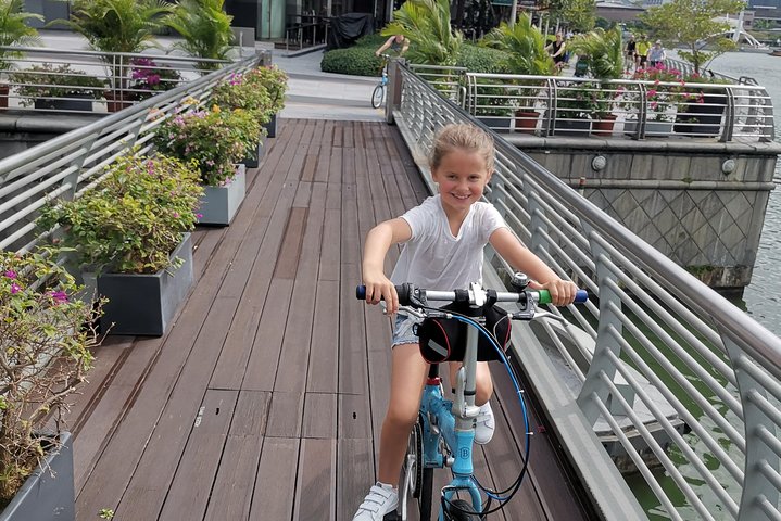 Lion City Bike Tour of Singapore