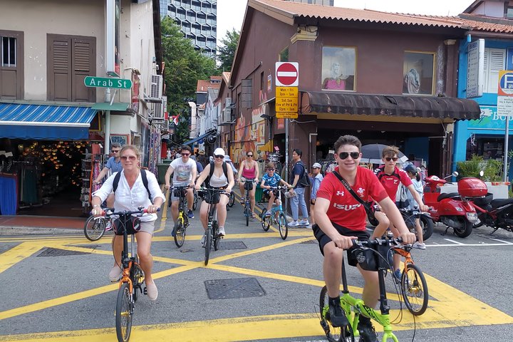 Lion City Bike Tour of Singapore
