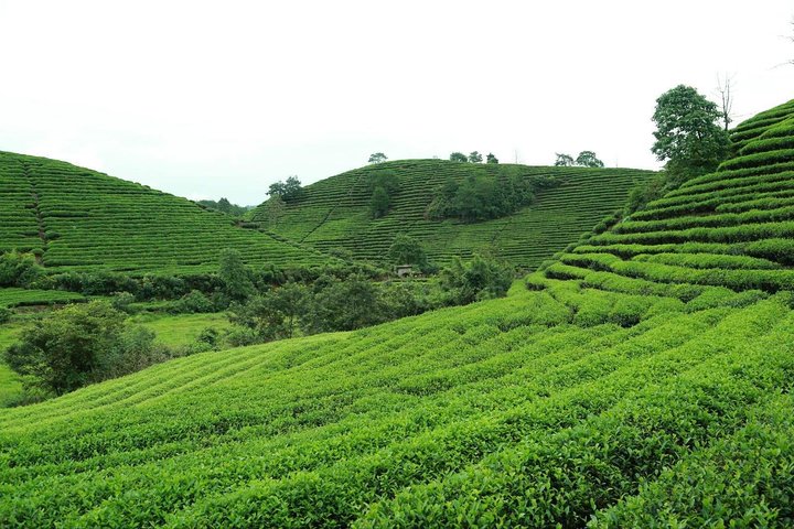 3-Day Private Tour to the World's natural and cultural heritage Mount Wuyi