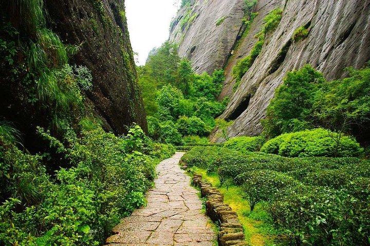 3-Day Private Tour to the World's natural and cultural heritage Mount Wuyi