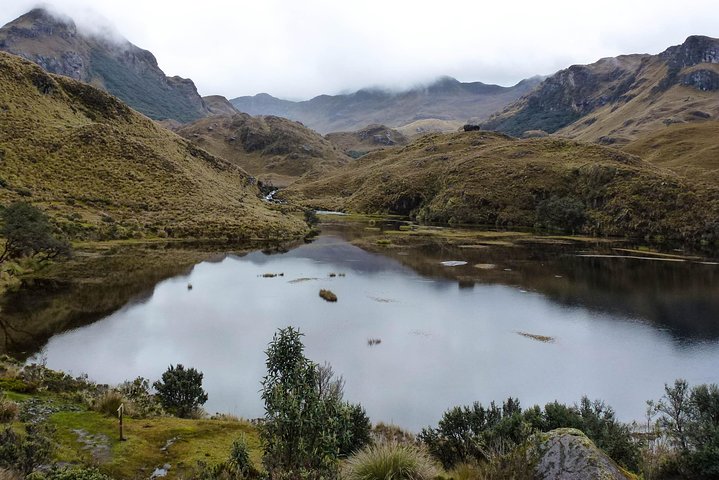 Cajas National Park Half Day Tour from Cuenca