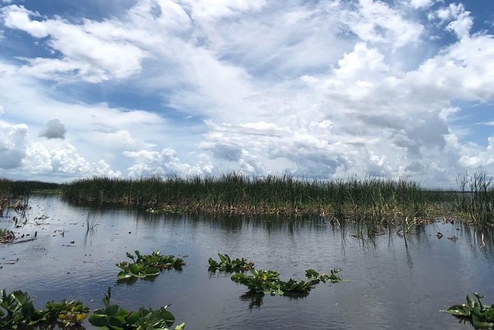 Florida Everglades Airboat Tour and Wild Florida Admission with Optional Lunch