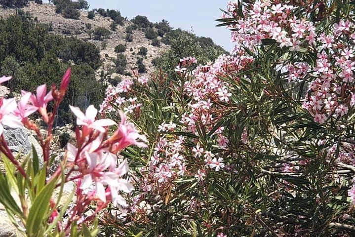 A Mirage In The Mountain