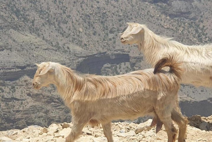 A Mirage In The Mountain