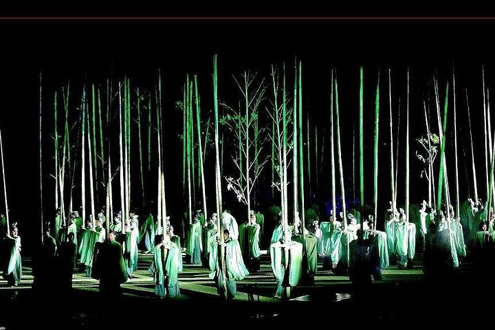 Ticket to Impression Da Hong Pao Performance in Mount Wuyi