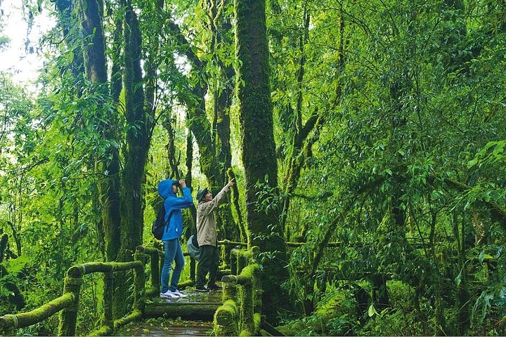 Doi Inthanon, Waterfall+Royal Project from Chiang Mai with Lunch