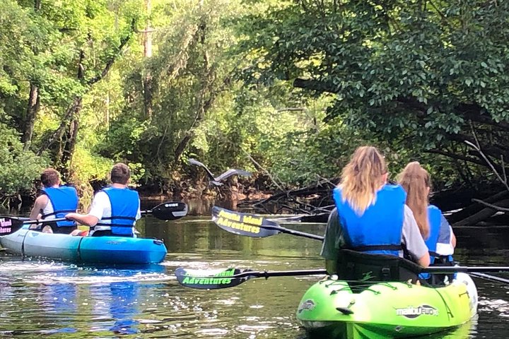 Guided Kayak Eco Tour: Real Florida Adventure