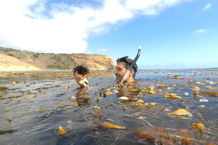 Snorkeling Los Angeles