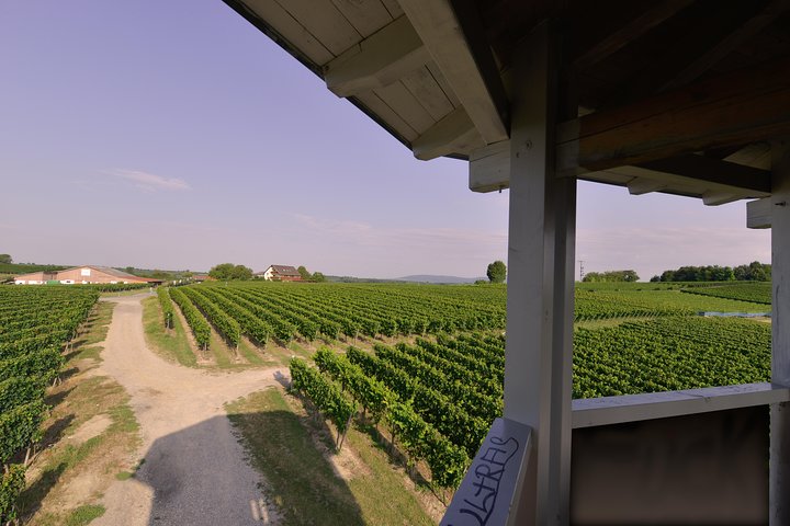 Private: Outdoor Escape Game Tuniberg: Eduardo & the Wine Secret