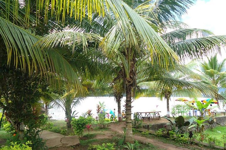 Tours to Laguna Azul Sauce