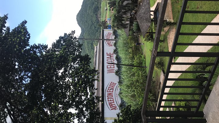 YS Falls Private Full-Day Adventure Tour with Pickup