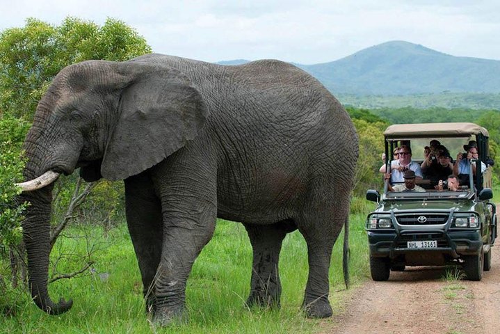 All Inclusive 3 Day Kruger Safari Adventure From Johannesburg
