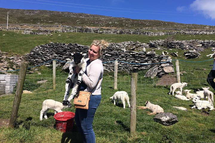 Private tour of Dingle and Slea Head with accredited guide