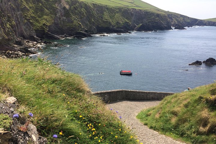 Private tour of Dingle and Slea Head with accredited guide