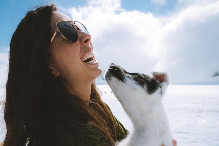 Helicopter Glacier & Dog Sledding Adventure Tour