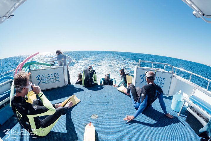 Swim with Humpback Whales - Ningaloo Reef - 3 Islands Whale Shark Dive
