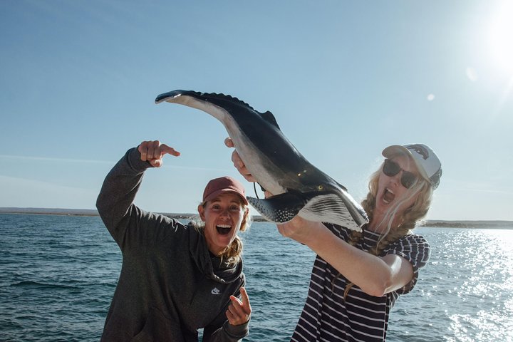 Swim with Humpback Whales - Ningaloo Reef - 3 Islands Whale Shark Dive