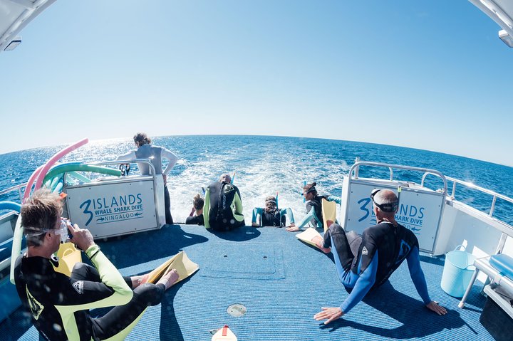 Swim with Humpback Whales - Ningaloo Reef - 3 Islands Whale Shark Dive