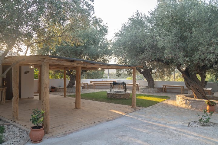 Olive Tour & Tasting