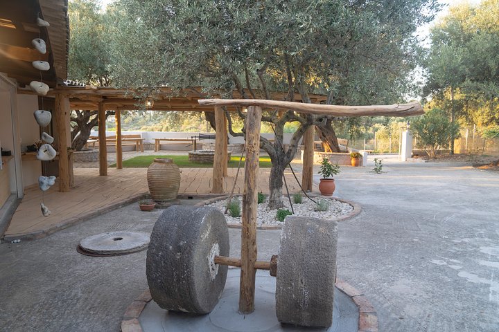 Olive Tour & Tasting