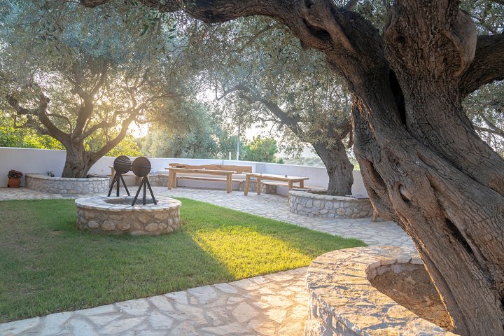 Olive Tour & Tasting