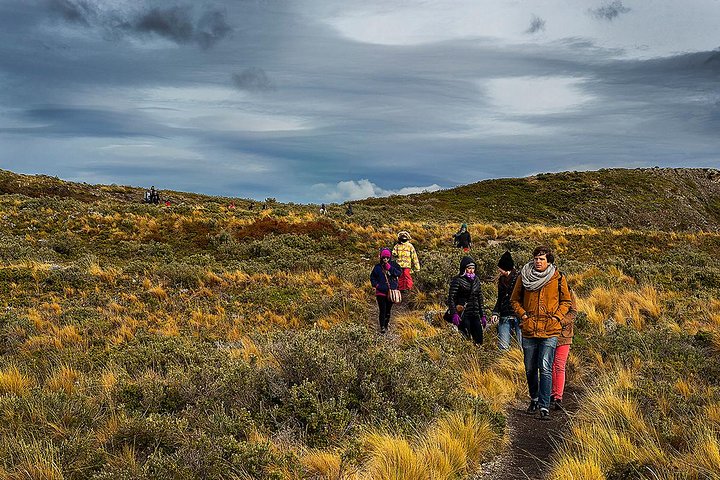 Beagle Channel Navigation with Minitrekking