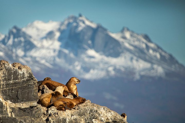 Beagle Channel Navigation with Minitrekking
