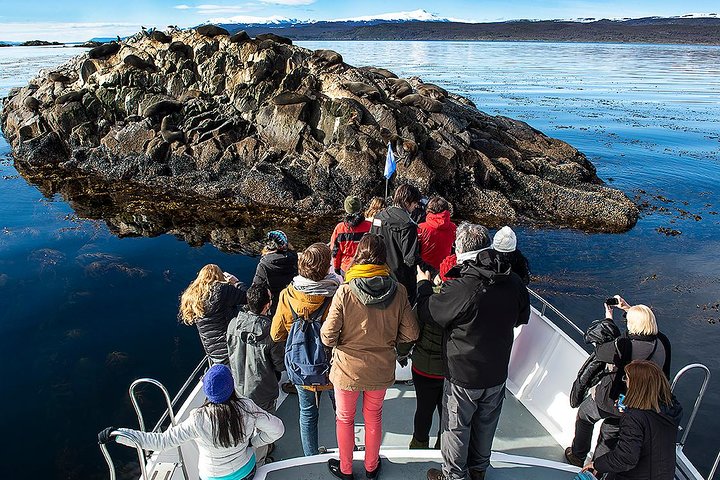 Beagle Channel Navigation with Minitrekking
