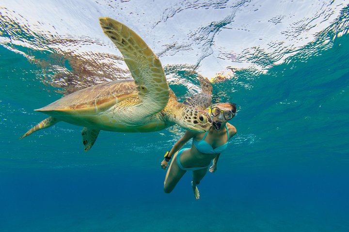 50' Luxury Yacht. Private Full or Half Day Catamaran Snorkel, & Beach Experience
