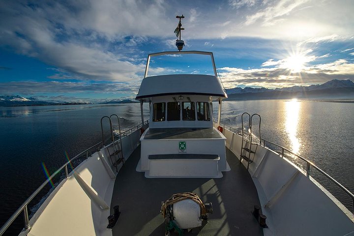 Beagle Channel Navigation with Minitrekking