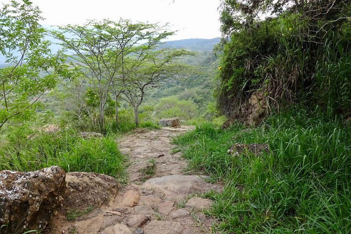 Eco Walk: The Royal Road To Cabrera
