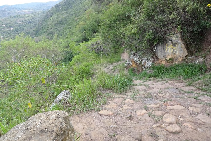Eco Walk: The Royal Road To Cabrera