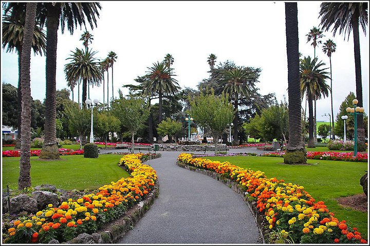 Shore Excursion: 4-Hour Discover Hawkes Bay and Napier Tour