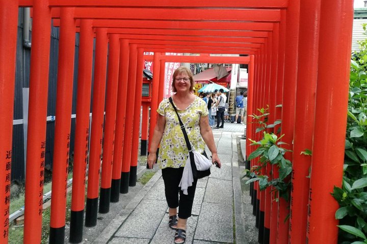 Nagoya Highlight Tour guided by a friendly local