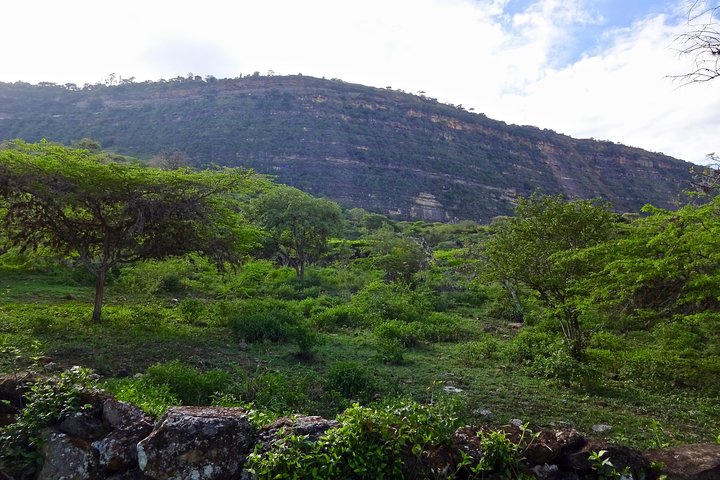 Eco Walk: The Royal Road To Cabrera
