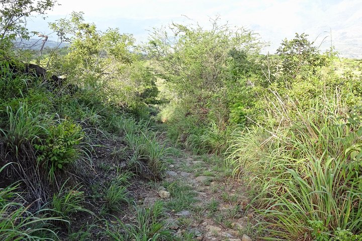 Eco Walk: The Royal Road To Cabrera