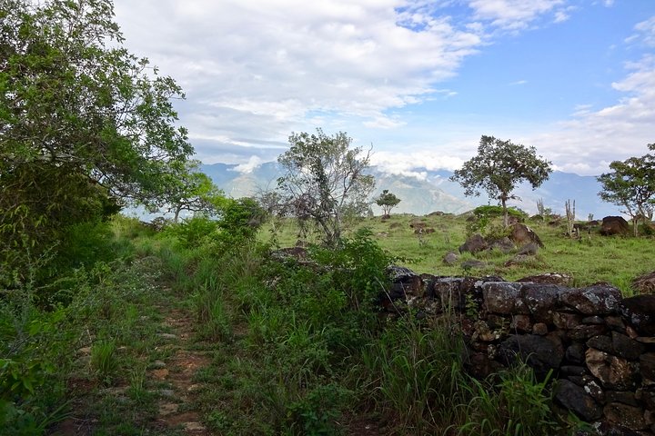 Eco Walk: The Royal Road To Cabrera
