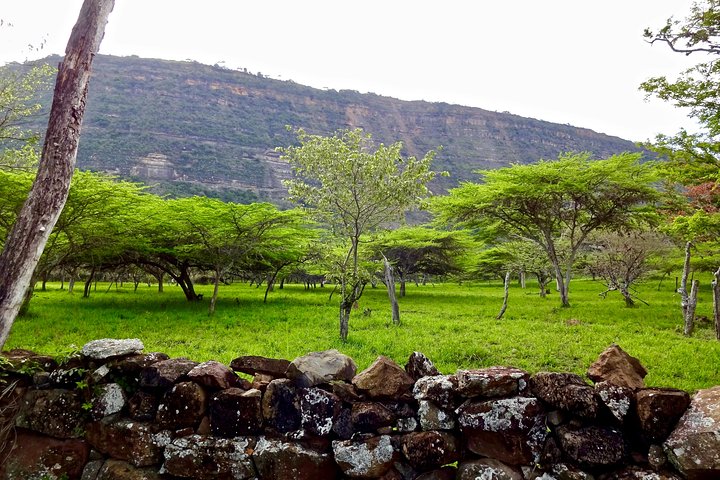 Eco Walk: The Royal Road To Cabrera