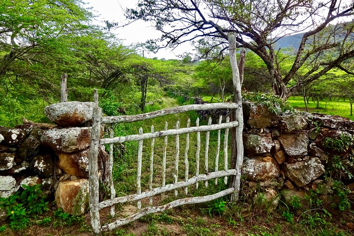 Eco Walk: The Royal Road To Cabrera