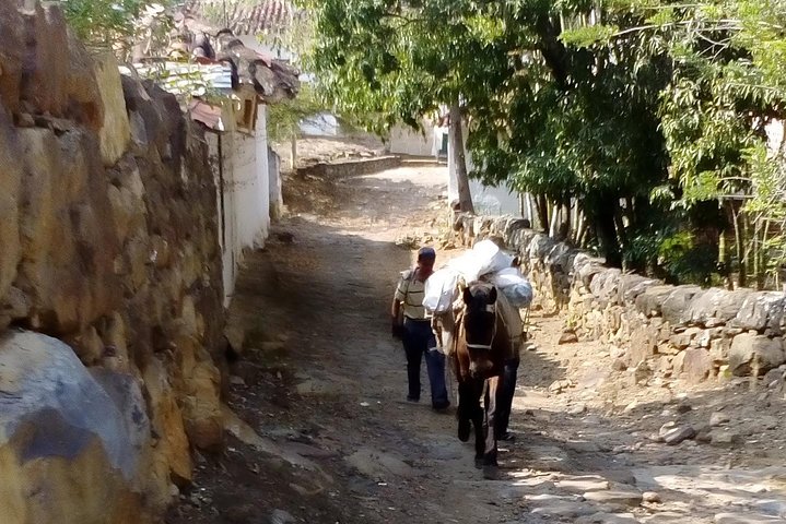 Eco Walk: The Royal Road To Cabrera