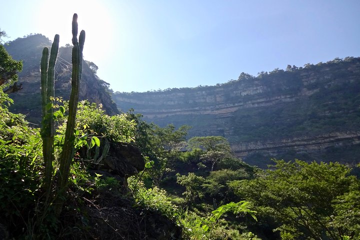 Eco Walk: The Royal Road To Cabrera